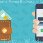 Start a Mobile Money Business