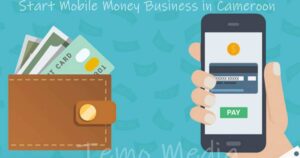 Start a Mobile Money Business