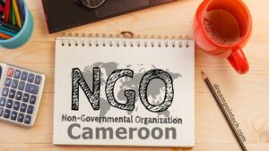 Procedure on the establishment of an NGO in Cameroon