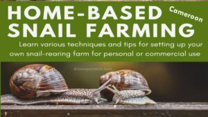 Guide to start snail farming in Cameroon