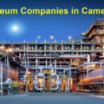 Petroleum companies in Cameroon