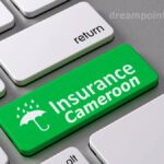 Guide on the various forms of insurance in Cameroon