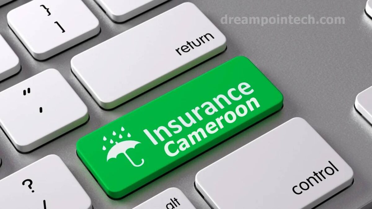 Guide on the various forms of insurance in Cameroon