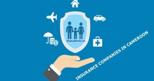 Best Insurance Companies in Cameroon