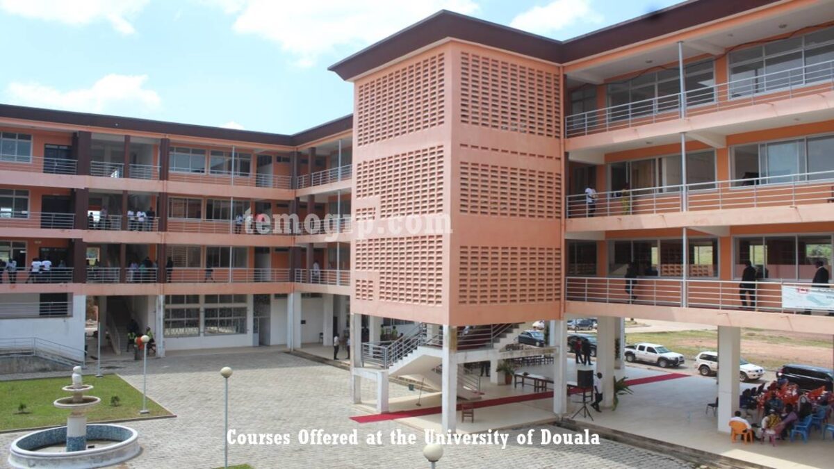 Guide on the All Courses Offered at the University of Douala