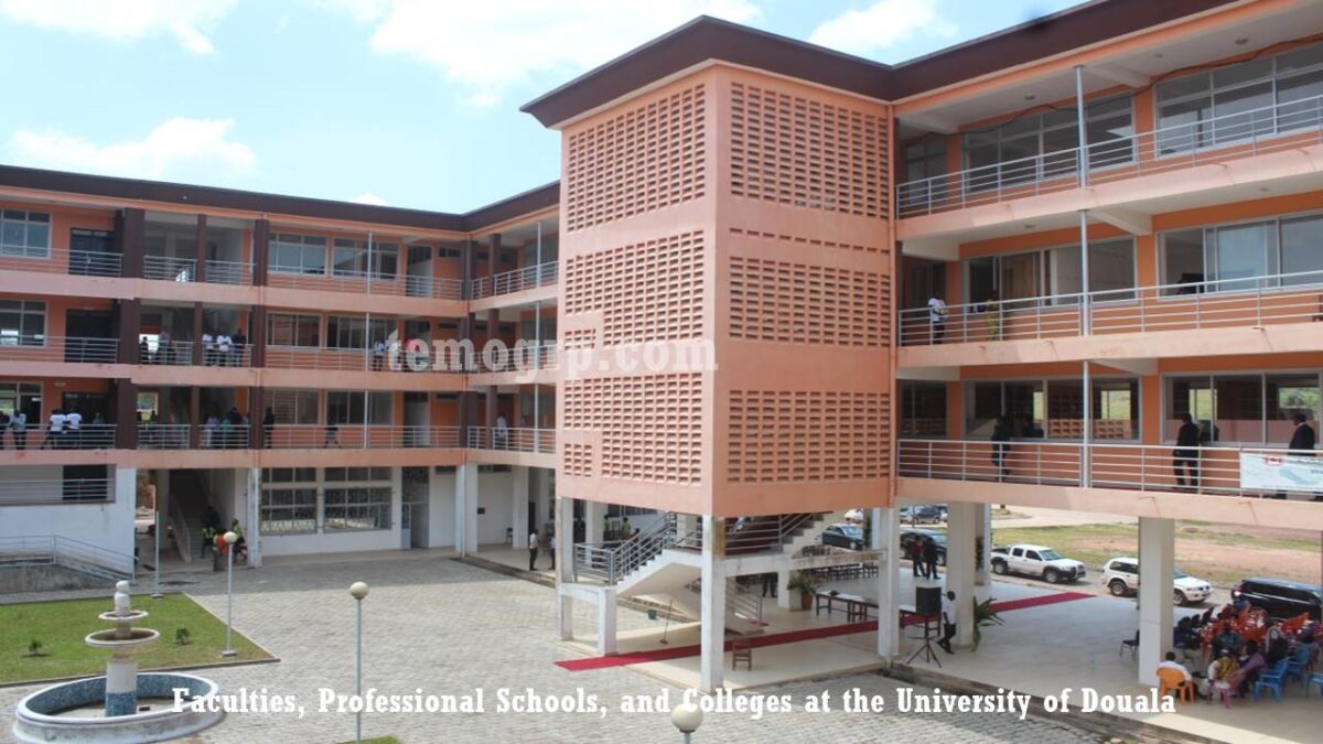 Guide on the professional Schools and Faculties at the University of Douala