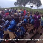 How to Download All First School Leaving Certificate Past Questions.