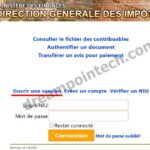Impots DGI Télédéclaration Attestation en Ligne Cameroun PDF