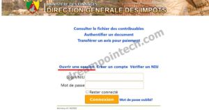 Impots DGI Télédéclaration Attestation en Ligne Cameroun PDF