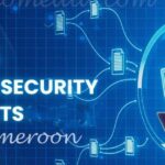 Cybersecurity Vulnerabilities in Cameroon