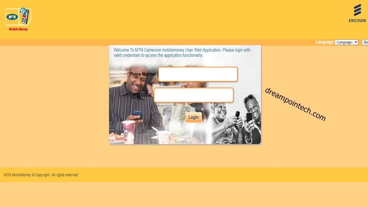 Check your mobile money transactions online