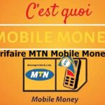 grille MTN Momo Cameroun