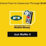 How To Pay School Fees In Cameroon Through MoMo (Tuition)