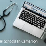 How Many Medical Schools are in Cameroon