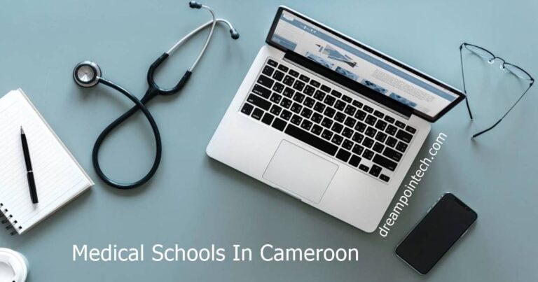 How Many Medical Schools are in Cameroon
