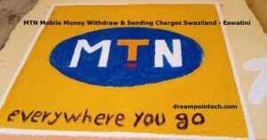 MTN Mobile Money Charges Swaziland - Eswatini