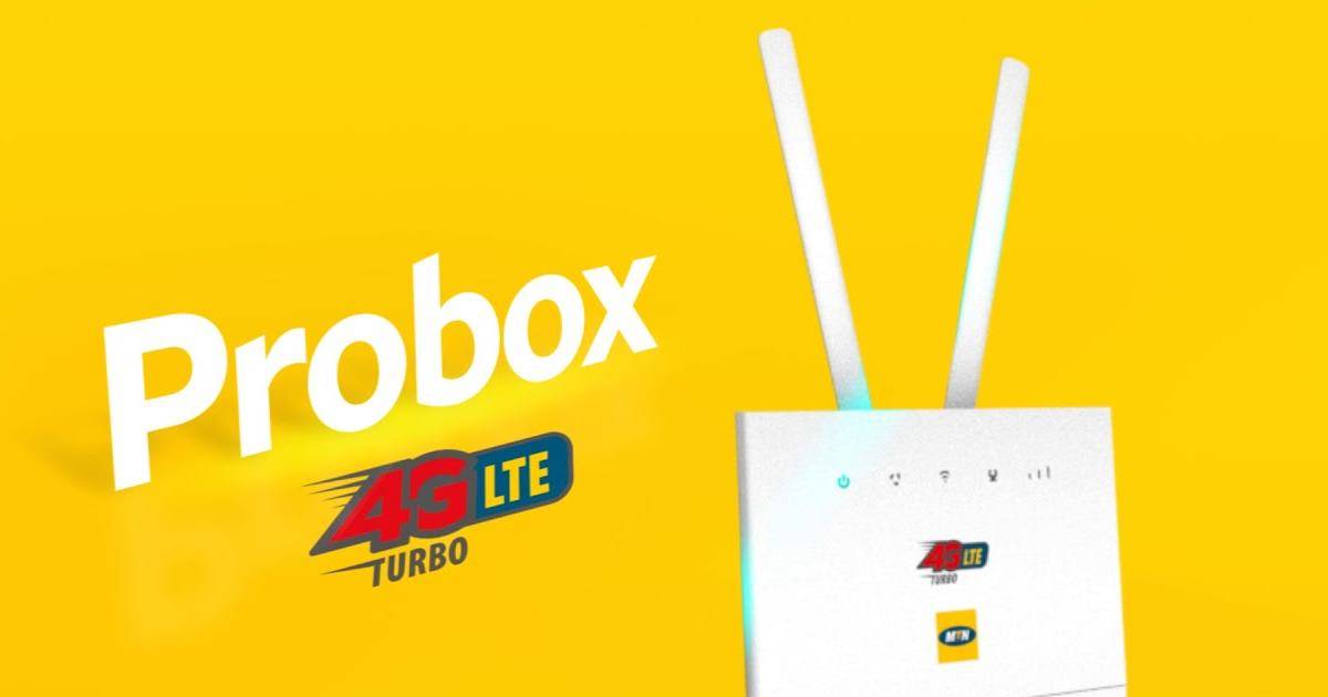 2. Le Mtn Huawei Probox ou le routeur (Huawei B315s-938)