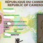 Vérifier Identité en Ligne Gratuit