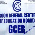 Download All past GCE results for all years PDF