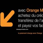 Grille Tarifaire Orange Mobile Money Guinée