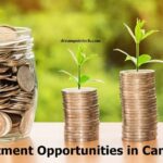 Most Profitable Investment Opportunities in Cameroon