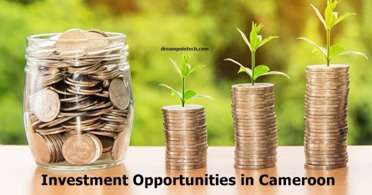 Most Profitable Investment Opportunities in Cameroon