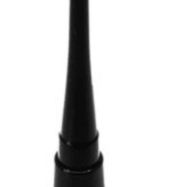 Anashe Dip It Eyeliner Black